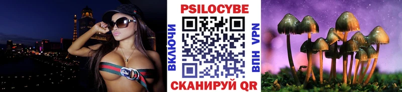 Галлюциногенные грибы Psilocybe  Приморско-Ахтарск 